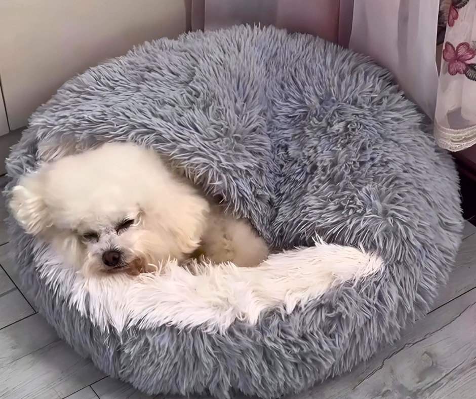 Snuggle shell – pet bed