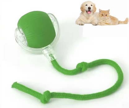 Rolypet smart chase toy ball