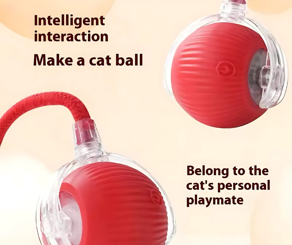 Rolypet smart chase toy ball